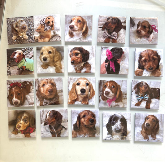 2X2 Custom Magnet Announcements/ Invitations