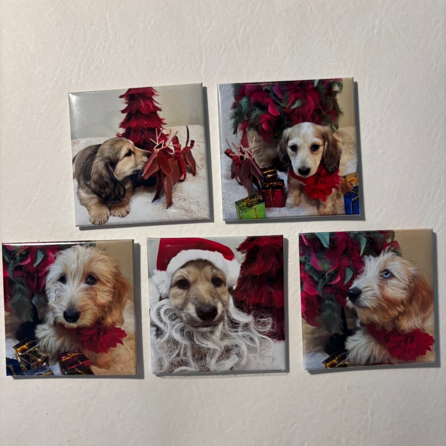 2"x2" Custom Photo Magnets